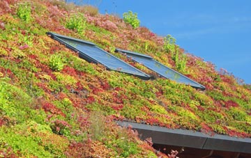 Lower Row living roof systems