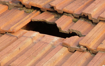 roof repair Lower Row, Dorset