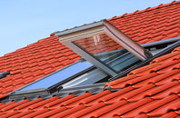 Lower Row roof window